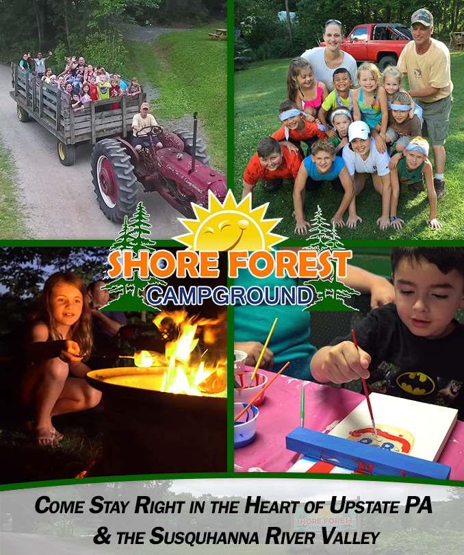 Shore Forest Campground