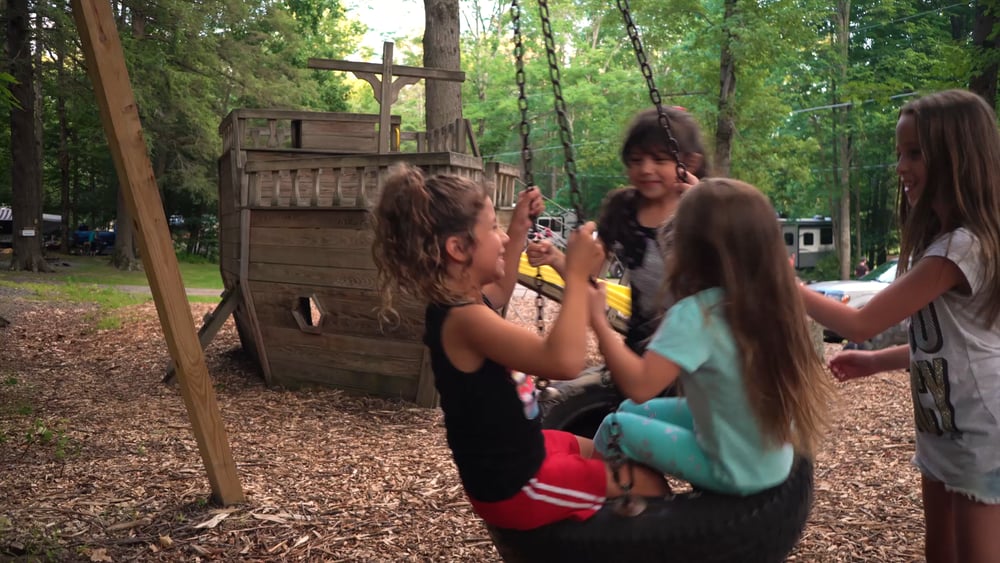 Shore Forest Video 2017 Video